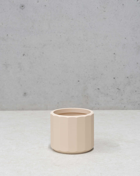 Jacky Planter