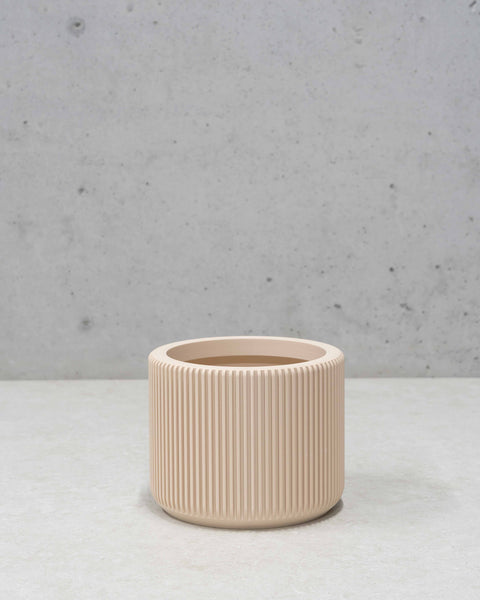 Millie Planter