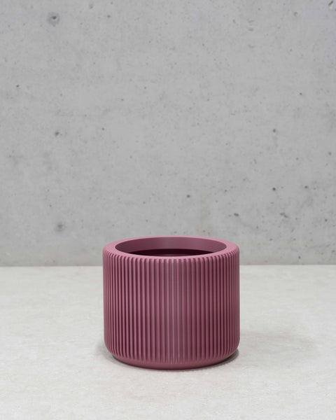 Millie Planter