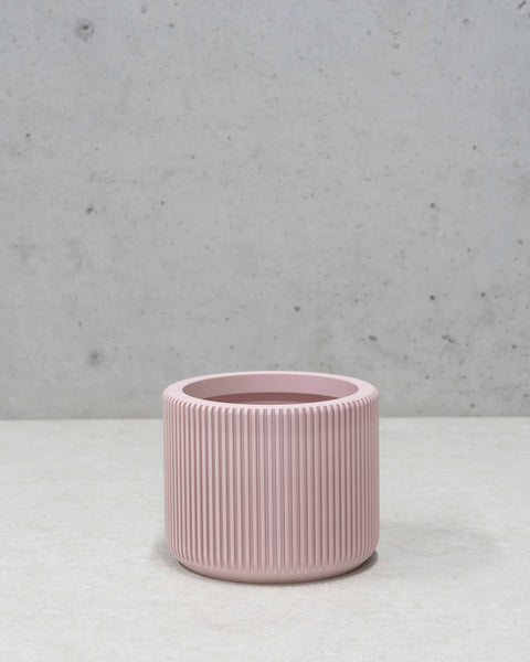 Millie Planter